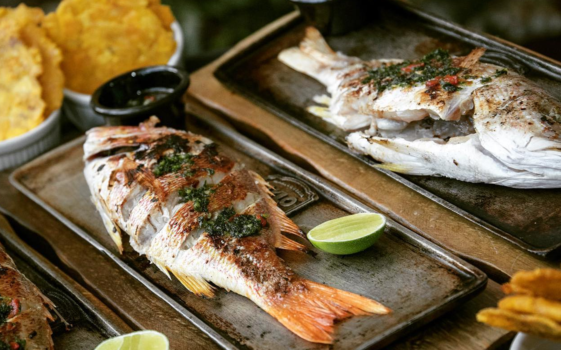 6 restaurantes de pescados y mariscos en Bogotá - Revista Buen Gusto