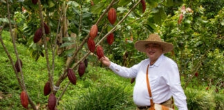 José Luis Pérez - Casa Rivera del Cacao