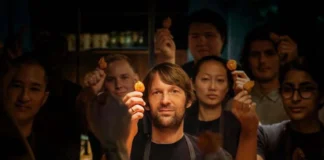 René Redzepi, Noma - Imagen de instagram : reneredzepinoma